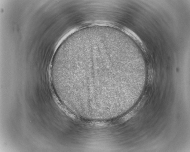 X0000085271190200704092132