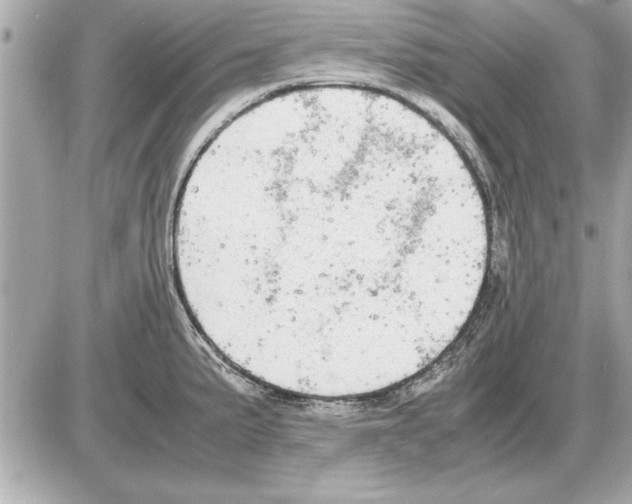 X0000085271191200704092132