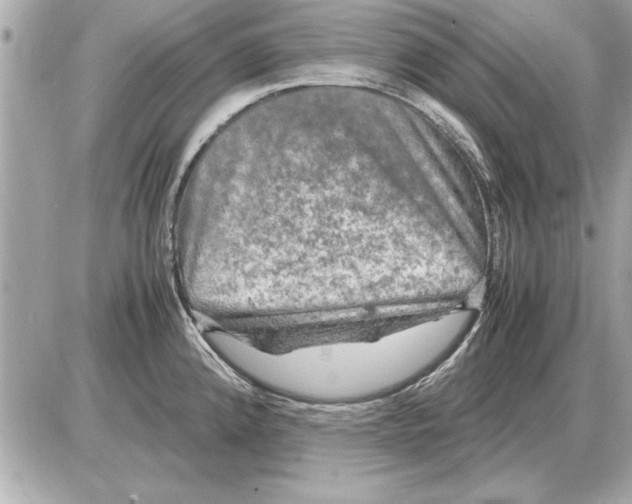 X0000085271192200704092132