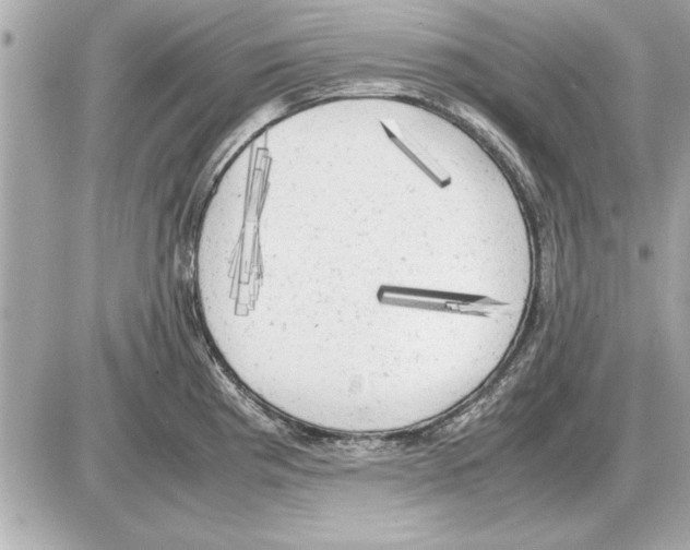 X0000085271193200704092132