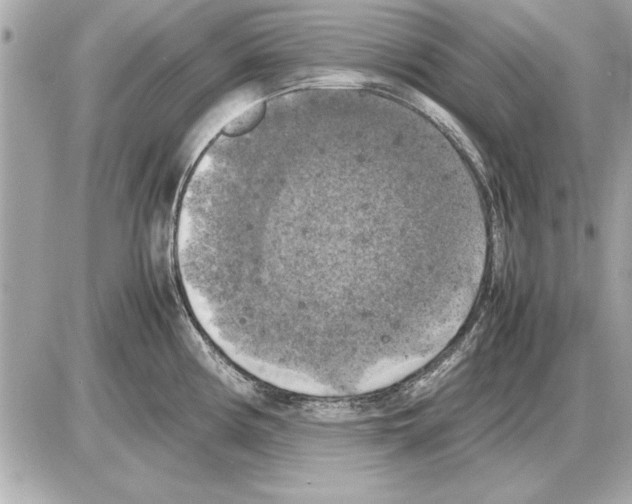 X0000085271194200704092132