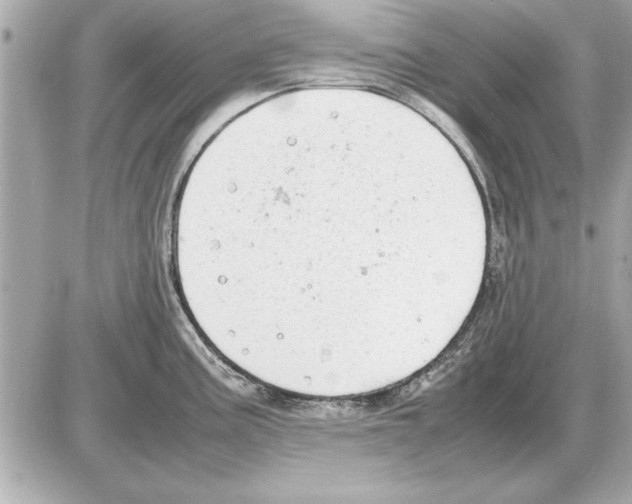 X0000085271195200704092132