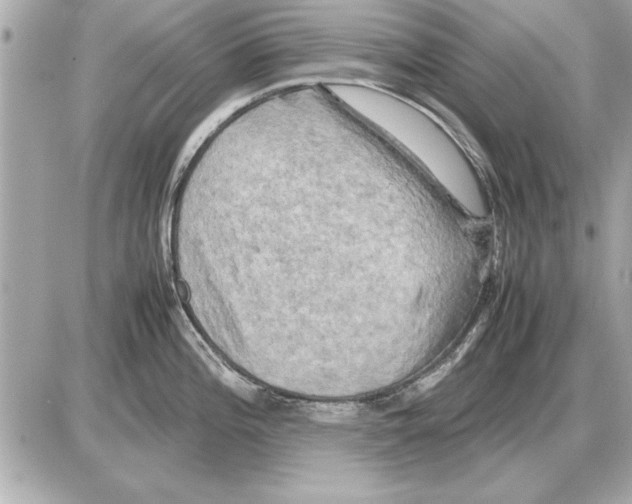 X0000085271196200704092132