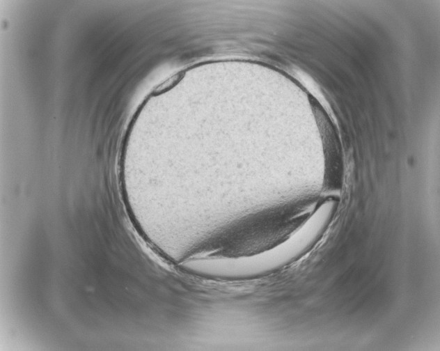 X0000085271197200704092132