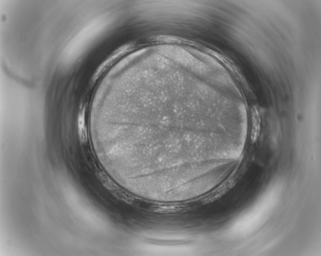 X0000085271198200704092132