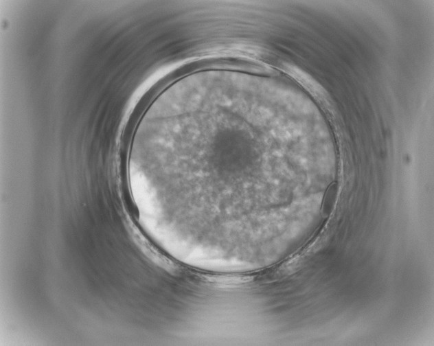 X0000085271200200704092132