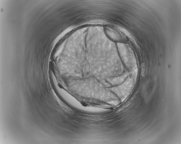 X0000085271229200704092132