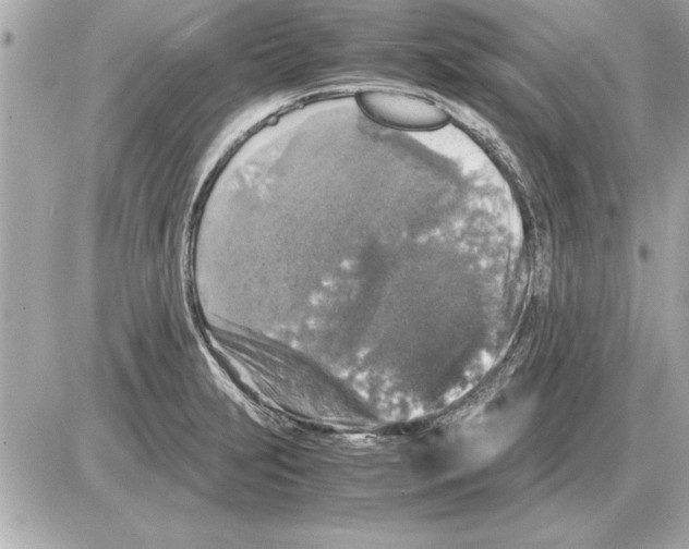 X0000085271231200704092132