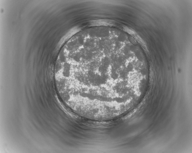 X0000085271233200704092132