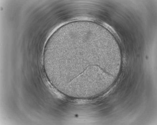 X0000085271236200704092132