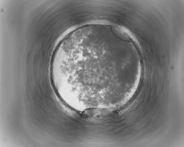 X0000085271237200704092132