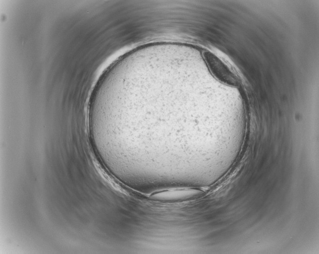 X0000085271238200704092132