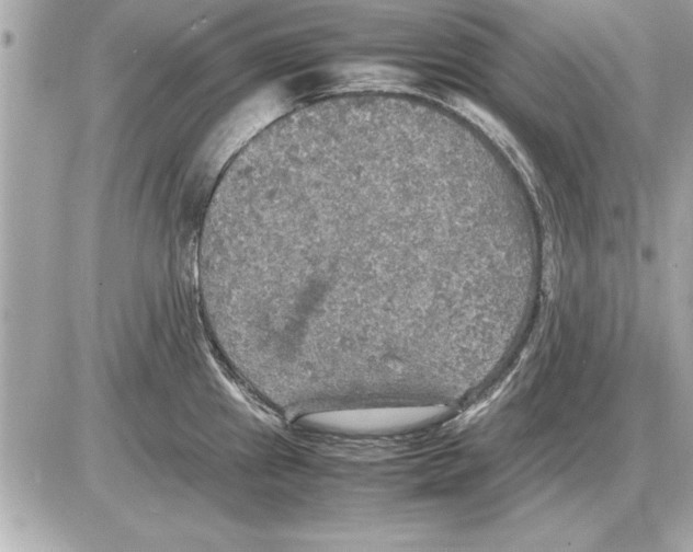 X0000085271241200704092132