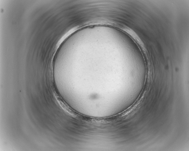 X0000085271242200704092132