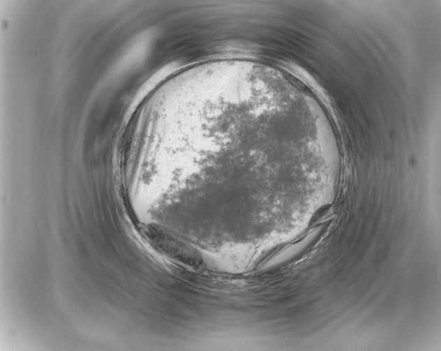 X0000085271243200704092132