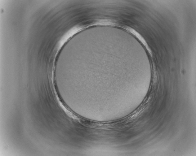 X0000085271245200704092132