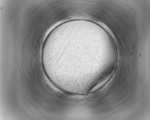 X0000085271246200704092132