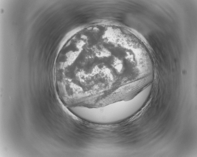 X0000085271247200704092132