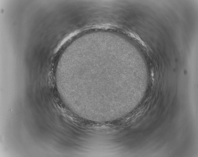 X0000085271256200704092131