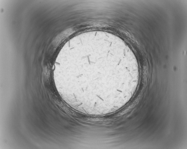 X0000085271257200704092131