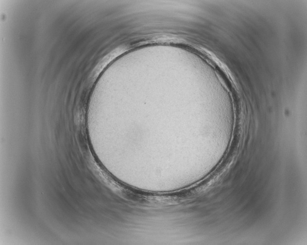 X0000085271281200704092130