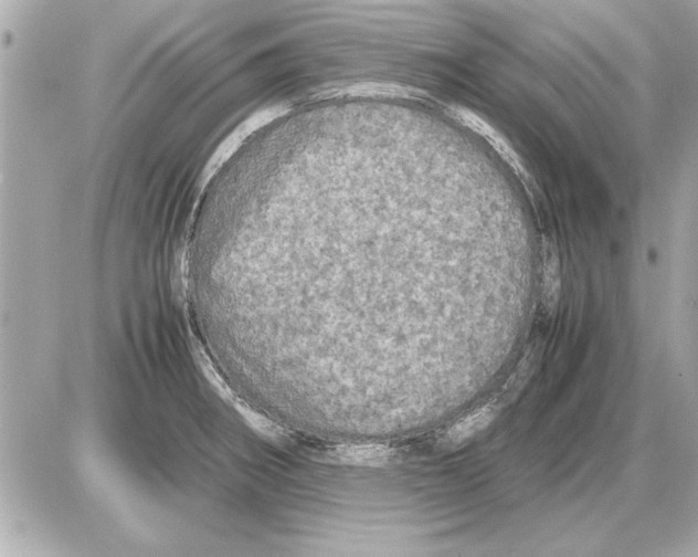 X0000085271282200704092130