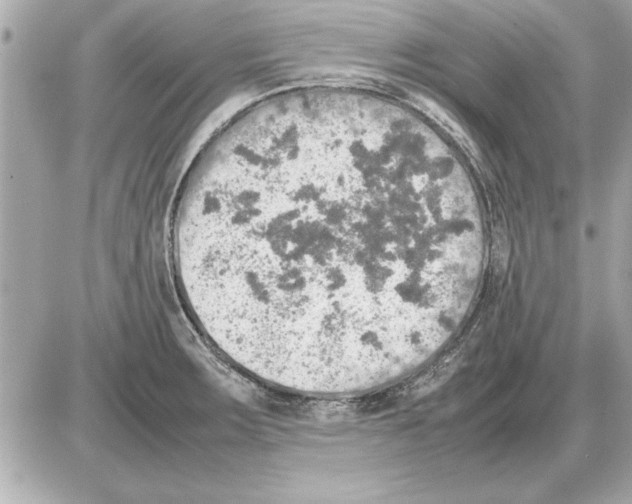 X0000085271283200704092130