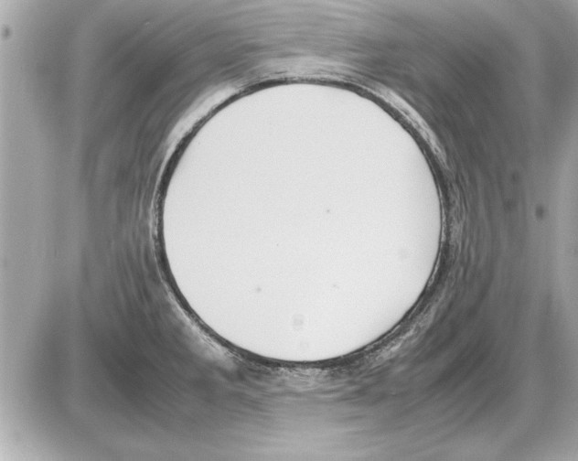 X0000085271285200704092130