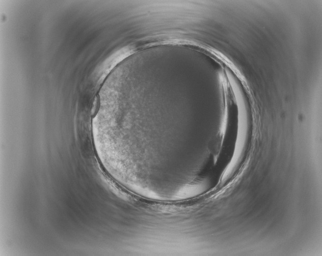 X0000085271289200704092130