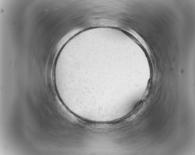 X0000085271293200704092130