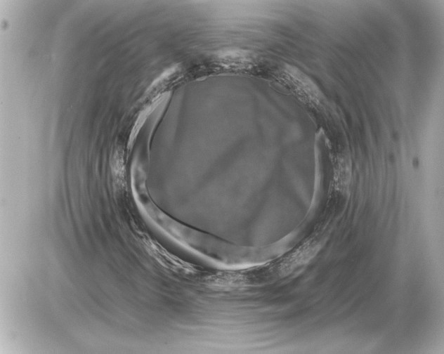 X0000085271298200704092129