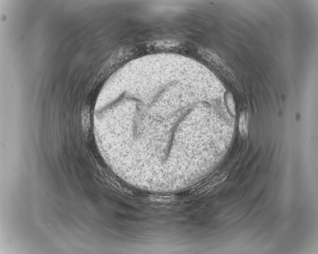 X0000085271299200704092129