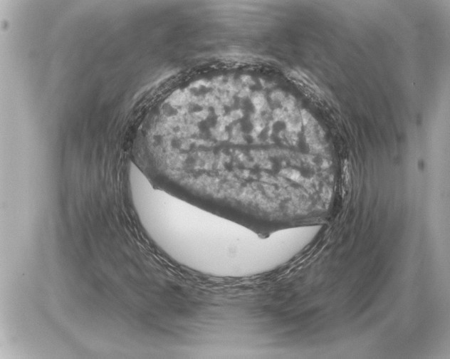 X0000085271302200704092130