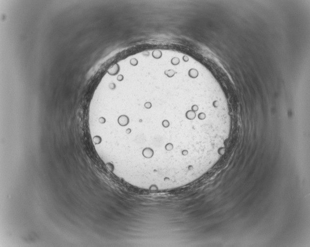 X0000085271304200704092130