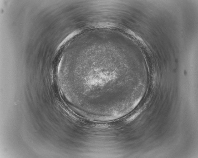 X0000085271306200704092130