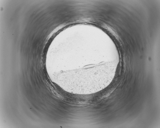 X0000085271308200704092130