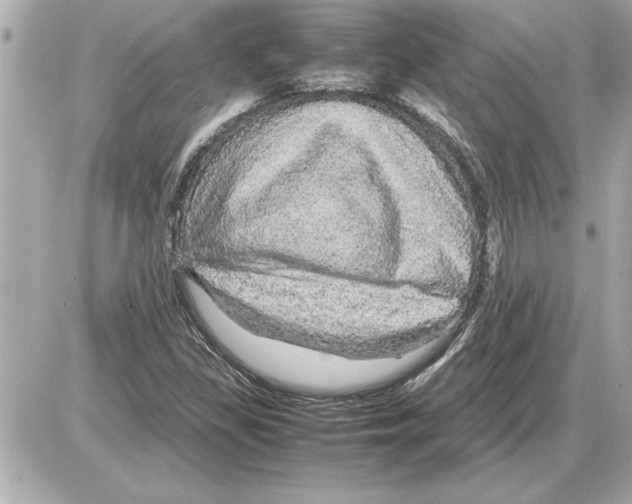 X0000085271309200704092130