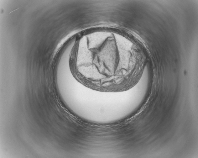 X0000085271310200704092130