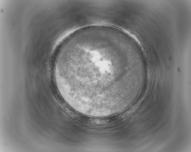 X0000085271311200704092130