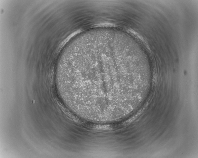 X0000085271313200704092130