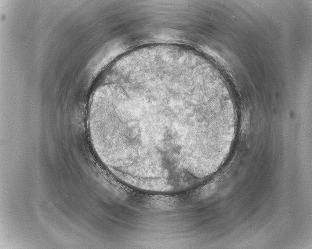 X0000085271314200704092130