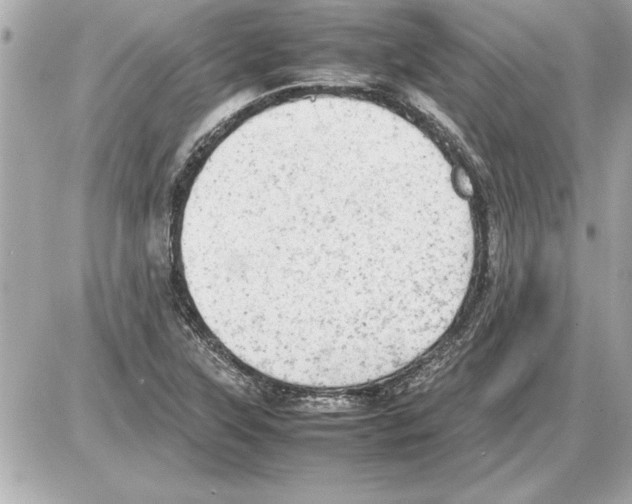 X0000085271315200704092130