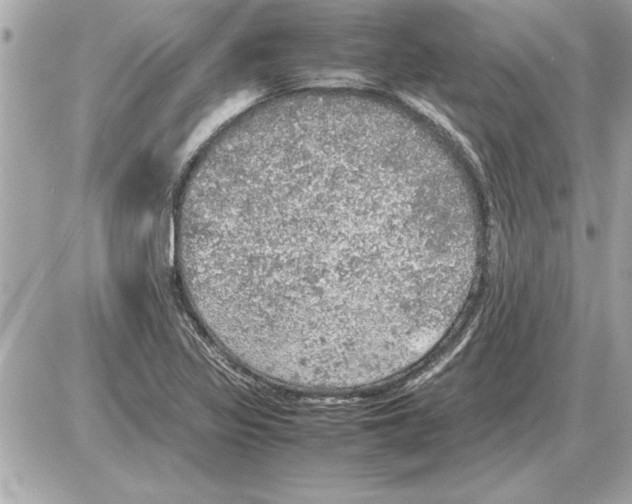 X0000085271317200704092130