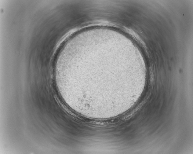 X0000085271318200704092130