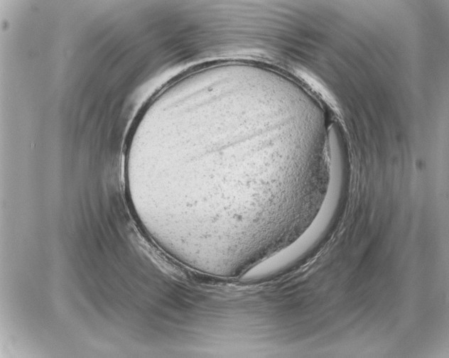 X0000085271324200704092130