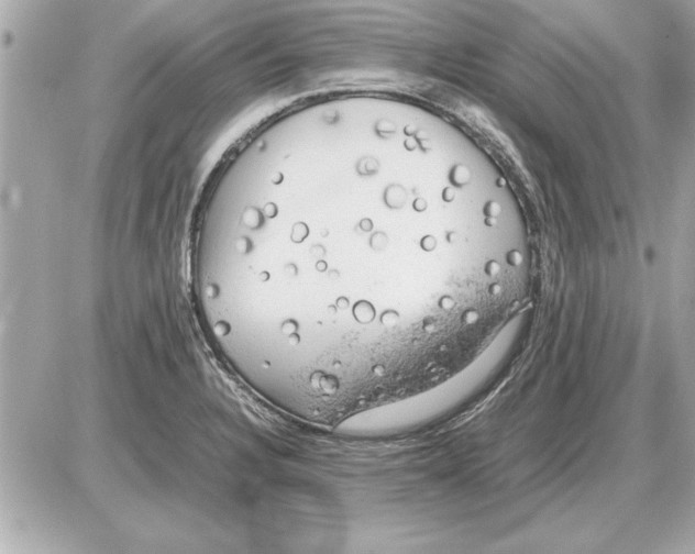 X0000085271328200704092130