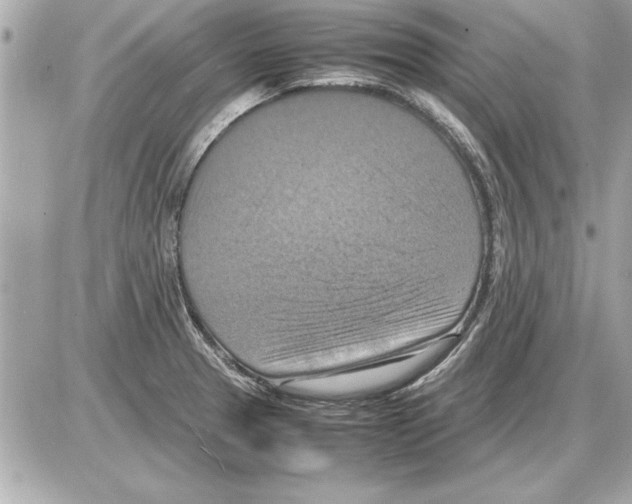 X0000085271329200704092130