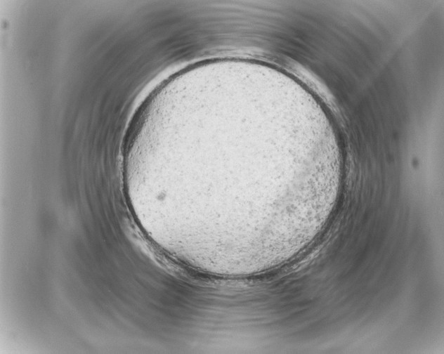 X0000085271332200704092130