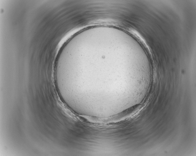 X0000085271336200704092130