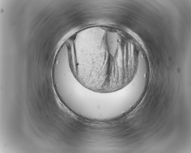 X0000085271338200704092130